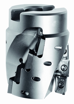 Tiger 900M W D63